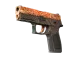 P250 | Mehndi CS2 skin