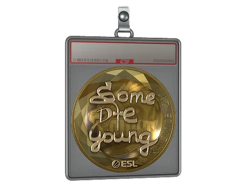 Sticker Slab | sdy (Gold) | Katowice 2019