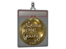 Sticker Slab | sdy (Gold) | Katowice 2019