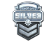 Sticker | Silver skin