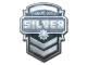 Sticker | Silver CS2 skin