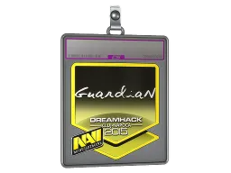 Sticker Slab | GuardiaN (Foil) | Cluj-Napoca 2015