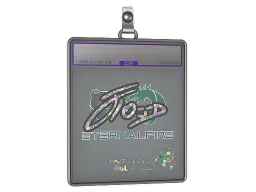 Sticker Slab | xfl0ud (Glitter) | Antwerp 2022