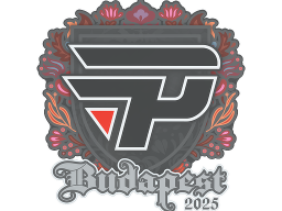 Sticker | paiN Gaming | Budapest 2025