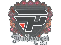 Sticker | paiN Gaming | Budapest 2025