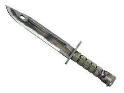 ★ Bayonet | Scorched (Battle-Scarred)