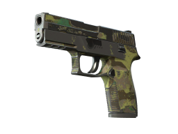 P250 | Boreal Forest (Battle-Scarred)