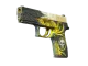 P250 | Wingshot CS2 skin