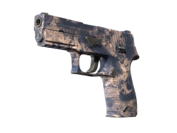 P250 | Drought (Factory New)