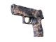 P250 | Drought (Factory New)