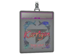 Sticker Slab | karrigan (Holo) | Austin 2025