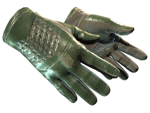 ★ Driver Gloves | Racing Green (Field-Tested)