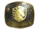 Sticker | Team Liquid (Gold) | Austin 2025