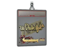 Sticker Slab | w0nderful (Gold) | Shanghai 2024