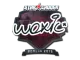 Sticker | woxic | Berlin 2019 CS2 skin
