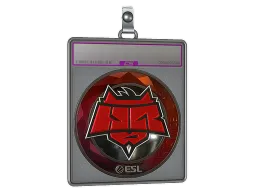 Sticker Slab | HellRaisers (Foil) | Katowice 2019