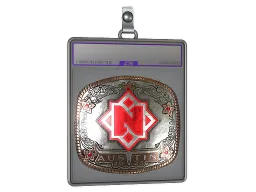 Sticker Slab | Nemiga (Foil) | Austin 2025
