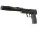 USP-S | Guardian CS2 skin