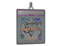 Sticker Slab | electronic (Holo) | Austin 2025