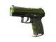 P2000 | Turf CS2 skin