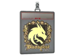 Sticker Slab | Team Spirit (Gold) | Budapest 2025