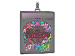 Sticker Slab | frozen (Holo) | Budapest 2025