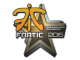 Sticker | Fnatic | Cluj-Napoca 2015 skin