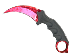 ★ StatTrak™ Karambit | Doppler (Factory New) Ruby