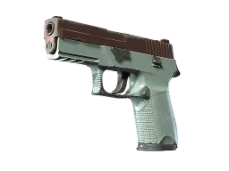 P250 | Copper Oxide CS2 skin