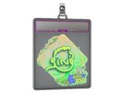 Sticker Slab | VINI (Holo) | Rio 2022