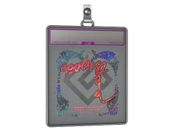Sticker Slab | cool4st (Holo) | Austin 2025