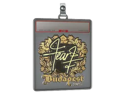 Sticker Slab | fEAR (Gold) | Budapest 2025