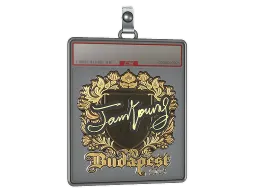 Sticker Slab | JamYoung (Gold) | Budapest 2025
