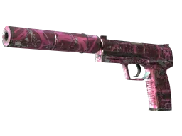 USP-S | Target Acquired CS2 skin