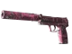 USP-S | Target Acquired CS2 skin