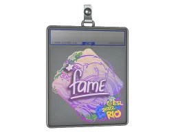 Sticker Slab | fame | Rio 2022