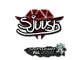 Sticker | sjuush (Glitter) | Antwerp 2022 CS2 skin