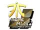 Sticker | Fnatic | MLG Columbus 2016 CS2 skin