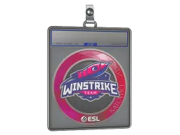 Sticker Slab | Winstrike Team | Katowice 2019