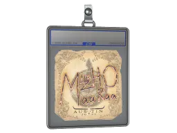 Sticker Slab | mzinho | Austin 2025