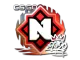 Sticker | Nemiga | 2020 RMR CS2 skin