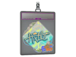 Sticker Slab | Ax1Le (Holo) | Rio 2022