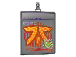 Sticker Slab | Fnatic (Holo) | 2020 RMR