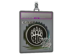 Sticker Slab | BIG (Foil) | 2020 RMR