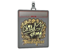 Sticker Slab | ChildKing (Gold) | Budapest 2025