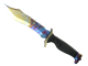 ★ Bowie Knife | Case Hardened skin