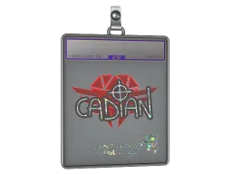 Sticker Slab | cadiaN (Glitter) | Antwerp 2022