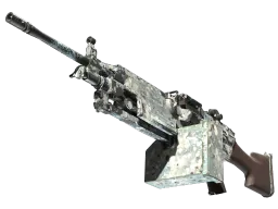 M249 | Blizzard Marbleized (Well-Worn)