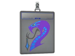 Sticker Slab | Drukhari 2