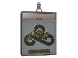 Sticker Slab | Ax1Le (Gold) | Copenhagen 2024